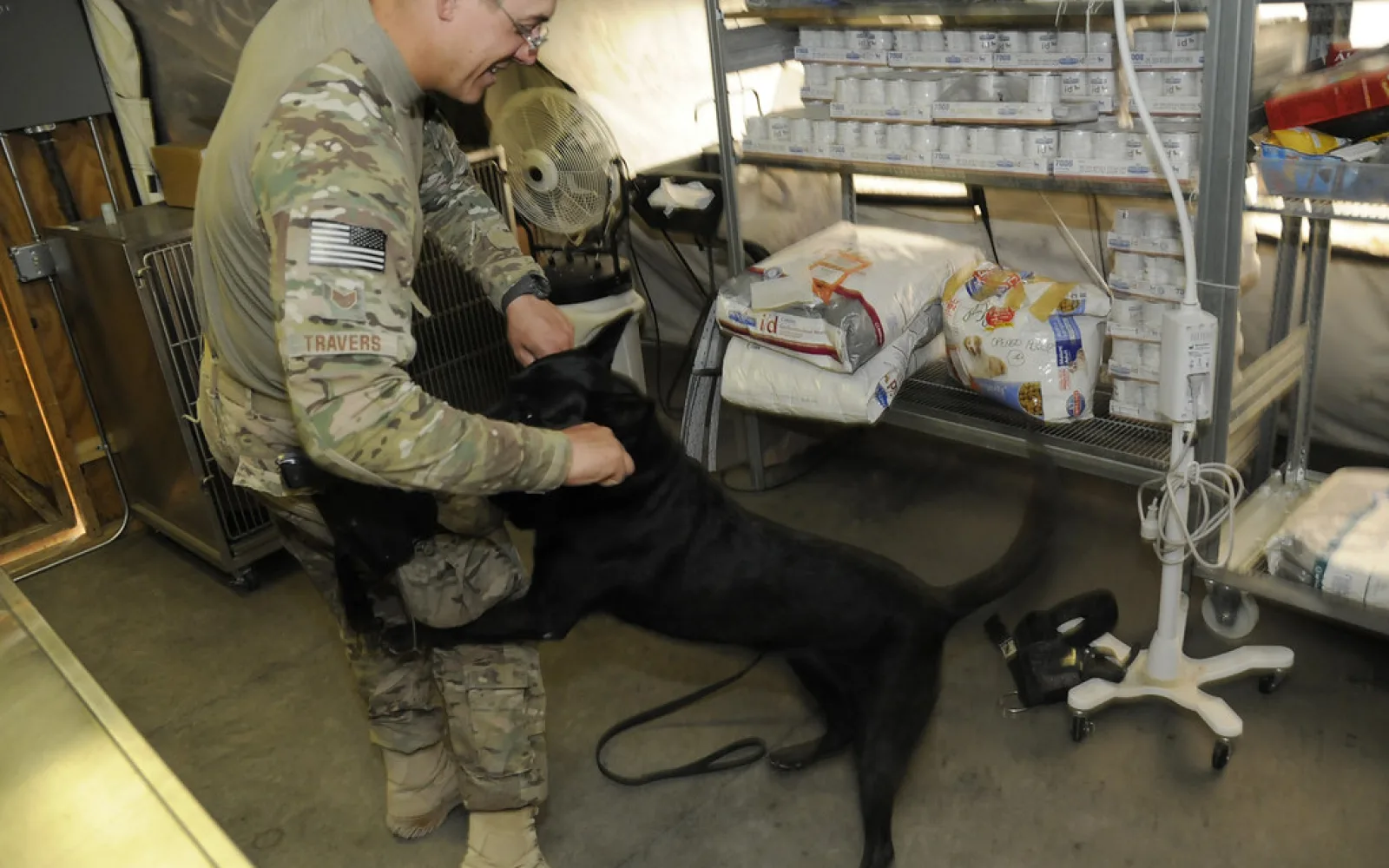 Tierärztin untersucht einen Hund in der Praxis